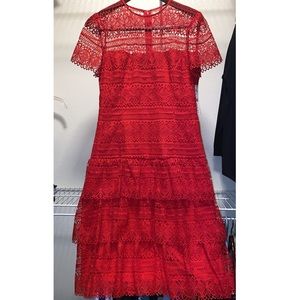 Lace Antonio Melani Dress NWT